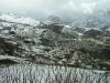 Nome file=verbi_neve1.jpg
Peso file=232KB
Dimensioni=800x600
Data inserimento=21 Gen 2007 verbi_neve1.jpg